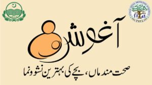 Punjab Aghosh Program 2025 provides financial assistance for pregnant women and lactating mothers in Punjab.