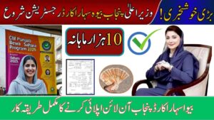Step-by-step process to apply for the Punjab Bewa Sahara Card 2025, including eligibility, required documents, and registration details.